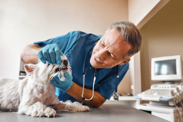 Best Emergency Wisdom Tooth Extraction in Silver Lakes, CA
